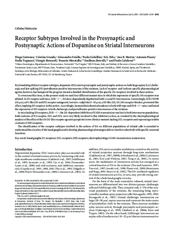 (PDF) Receptor Subtypes Involved in the Presynaptic and Postsynaptic ...