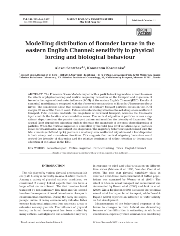 Founder vs owner image