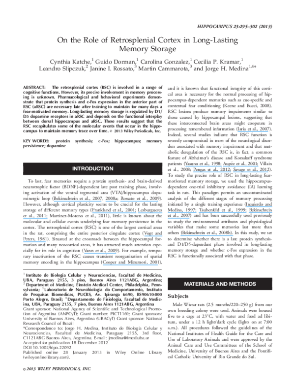 (PDF) On the role of retrosplenial cortex in longlasting memory