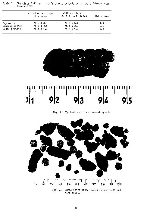 (PDF) Cecotrophy-II.pdf