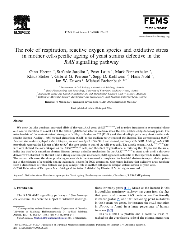 (PDF) The role of respiration, reactive oxygen species and oxidative ...