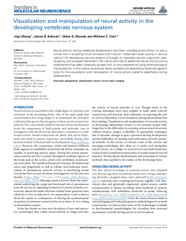 (PDF) Visualization and Manipulation of Neural Activity in the ...