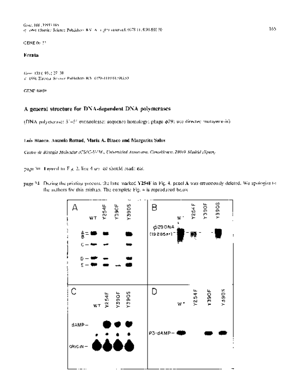 (PDF) A general structure for DNA-dependent DNA polymerases