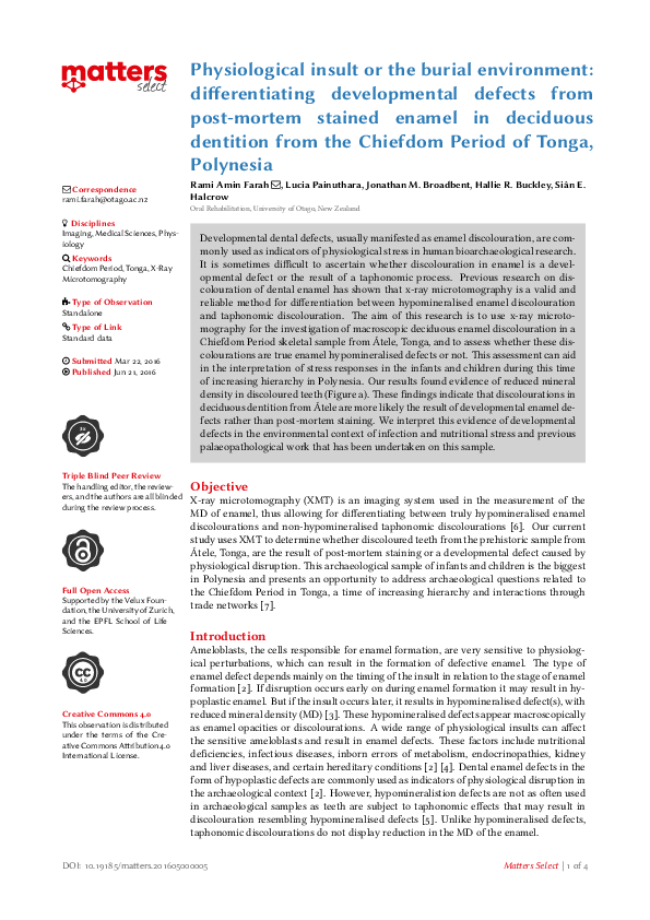 Tongan chiefdoms essay 07 image