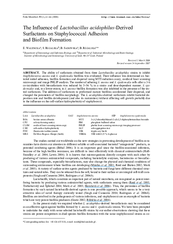 Barbara lewiss short essay the cook 07 image