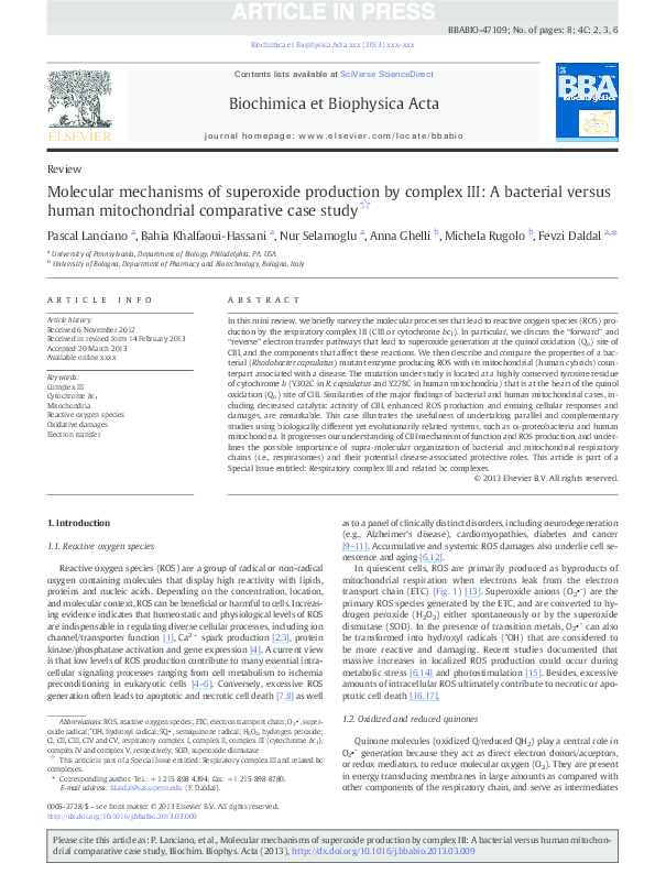 Mito case study essay 07 picture