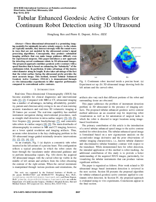 (PDF) Tubular Enhanced Geodesic Active Contours for continuum robot ...