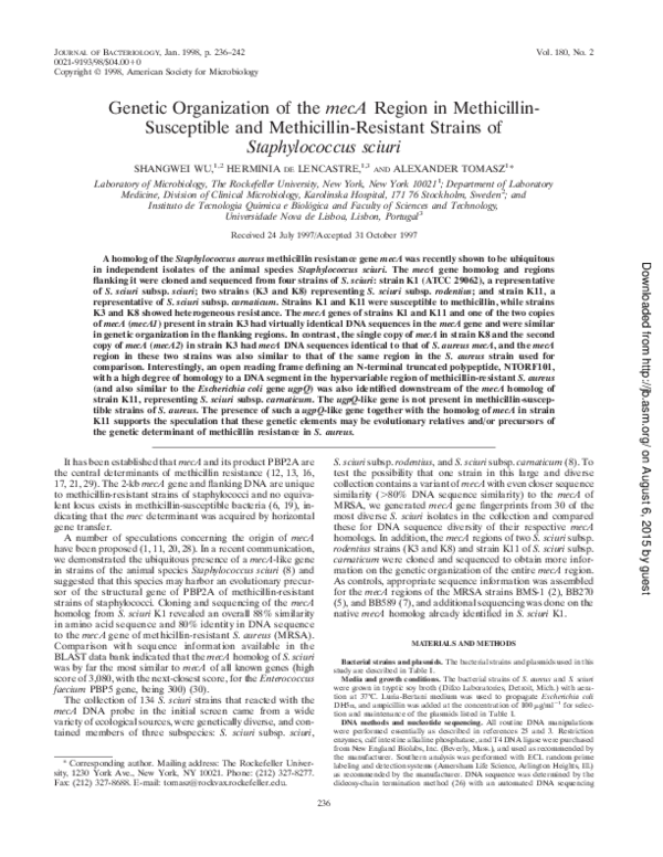 (PDF) Genetic organization of the mecA region in methicillin ...