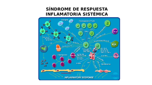 (PPT) SINDROME DE RESPUESTA inflamatoria