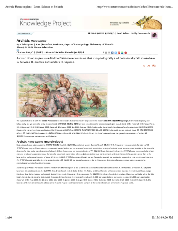 Anatomically modern humans image