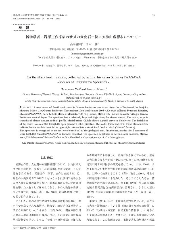 Fossil Shark Research Papers Academia Edu