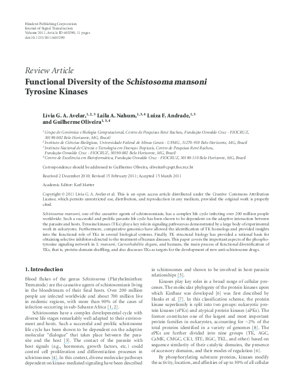 Guilherme oliveira essay 08 picture