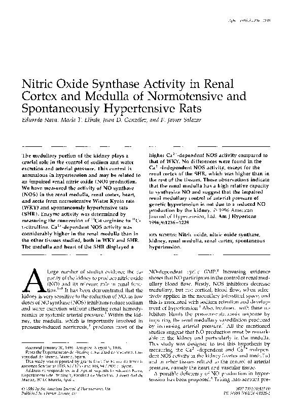 (PDF) Nitric oxide synthase activity in renal cortex and medulla of ...