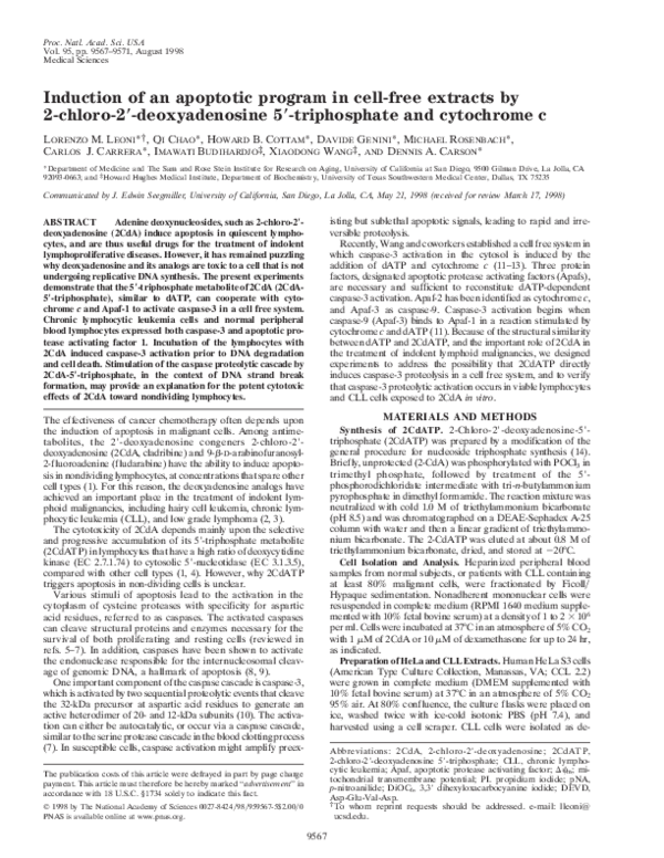 (PDF) Induction of an apoptotic program in cell-free extracts by 2 ...