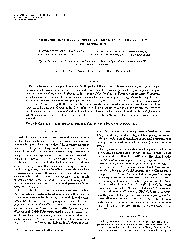 Google scholar image