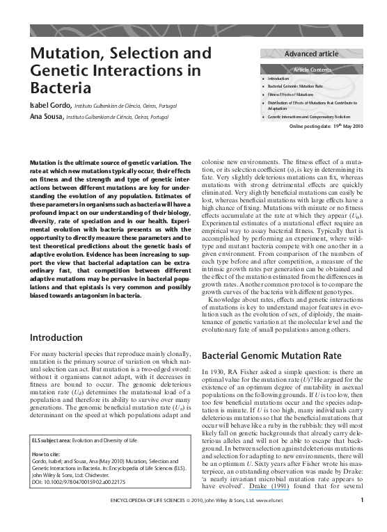 (PDF) Mutation, Selection and Genetic Interactions in Bacteria