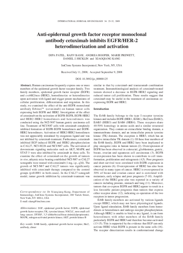 Imclone systems essay 07 image