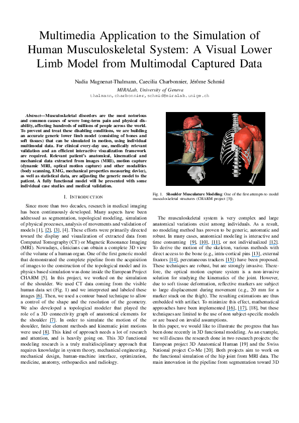 (PDF) Multimedia application to the simulation of human musculoskeletal ...