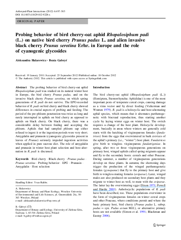 (PDF) Probing behavior of bird cherry-oat aphid Rhopalosiphum padi (L ...