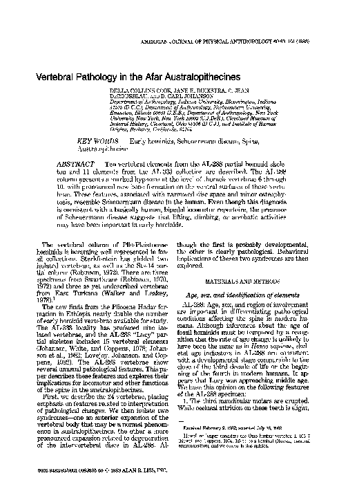 Research paper on human evolution picture