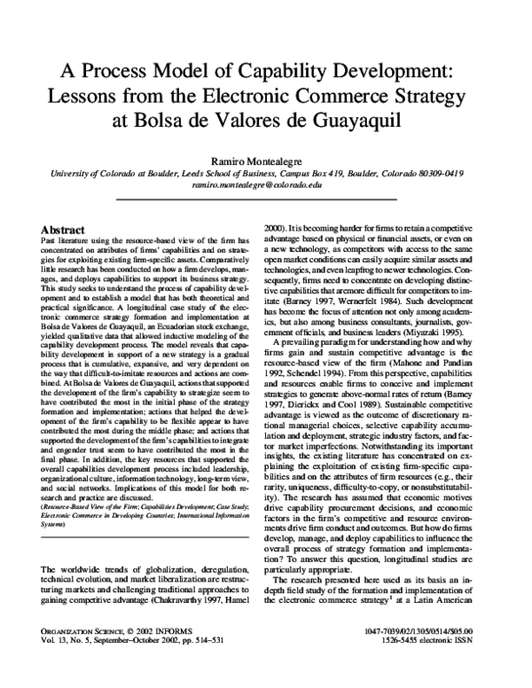 (PDF) A Process Model of Capability Development