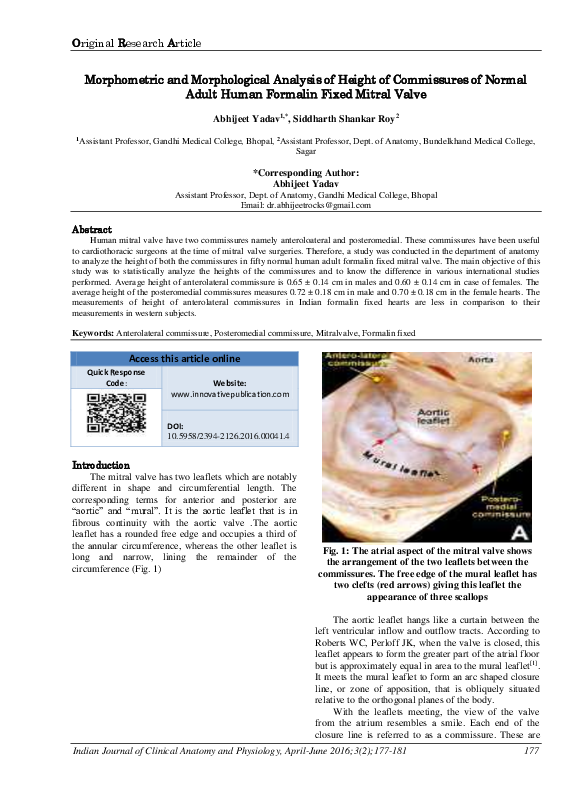 (PDF) Morphometric and Morphological Analysis of Height of Commissures ...