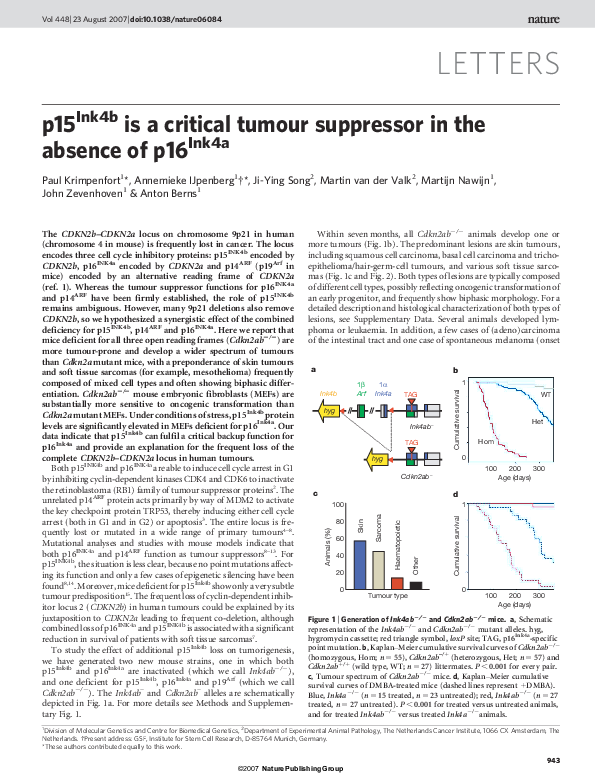 (PDF) p15Ink4b is a critical tumour suppressor in the absence of p16Ink4a