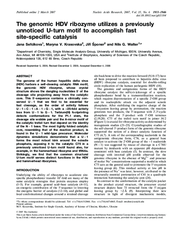 (PDF) The genomic HDV ribozyme utilizes a previously unnoticed U-turn ...