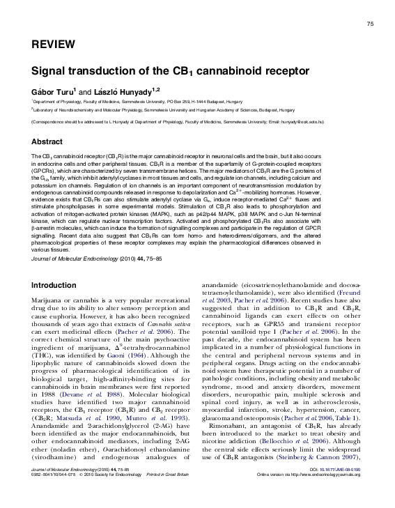 (PDF) Signal transduction of the CB1 cannabinoid receptor