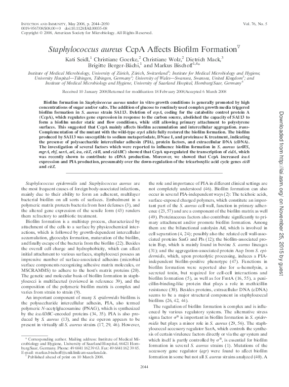 (PDF) Staphylococcus aureus CcpA Affects Biofilm Formation | Markus ...