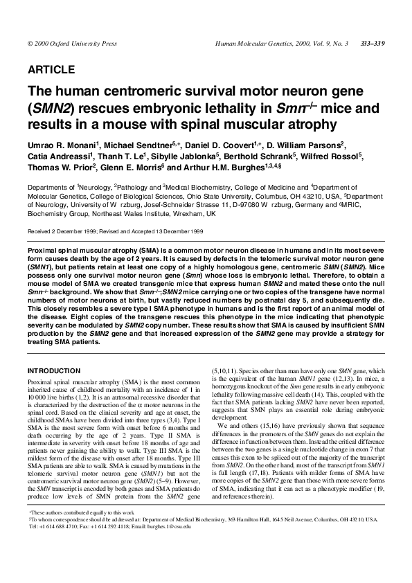 (PDF) The human centromeric survival motor neuron gene (SMN2) rescues ...