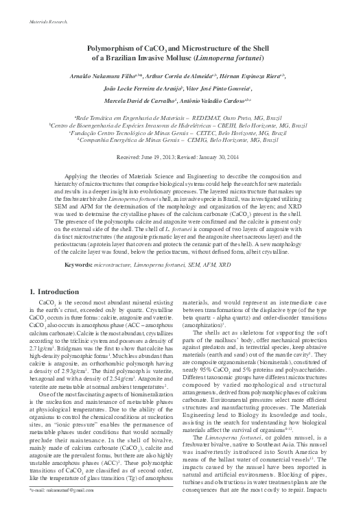 (PDF) Polymorphism of CaCO3 and microstructure of the shell of a ...