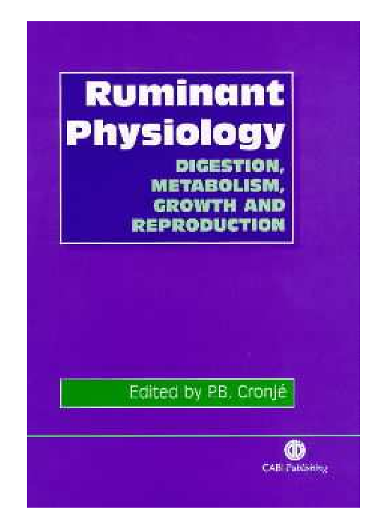 RUMINA BORG+MACH ROID+TEAM RUMINA OUTFIT+オマケあり フィギュア MEDICOM TOY　佐藤ルミナ　桜井マッハ速人 Bearbrick \u2013 Page 47 \u2013 TOYSEZ