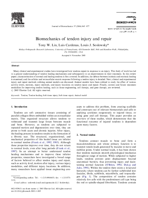 Lab report example picture