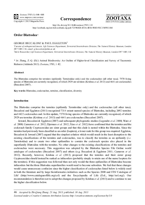 3703 1 essay 08 image