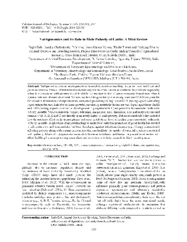 Earliest puberty ever picture