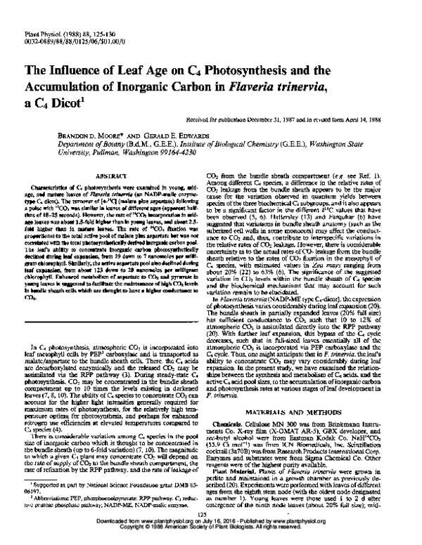 (PDF) The Influence of Leaf Age on C4 Photosynthesis and the ...