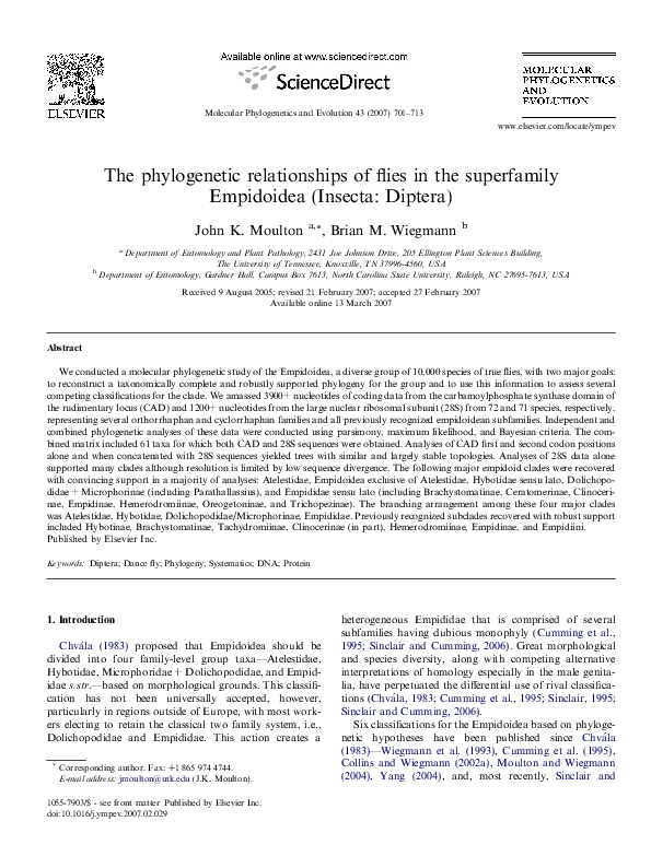 (PDF) The phylogenetic relationships of flies in the superfamily ...