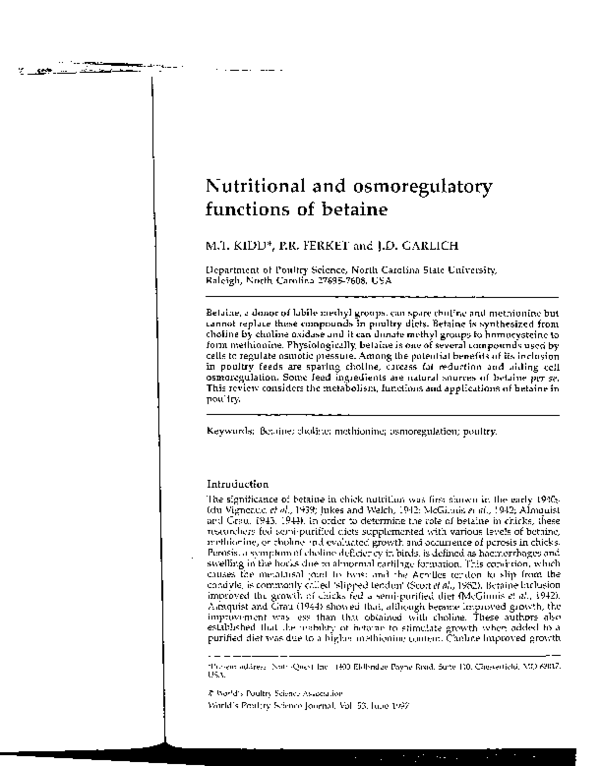 Betaine metabolism pathway picture
