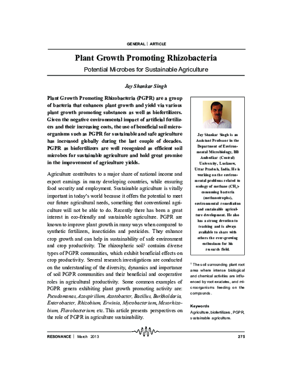 (PDF) Plant Growth Promoting Rhizobacteria