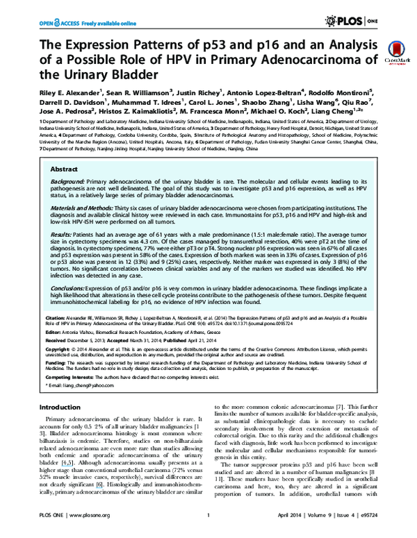 (PDF) The Expression Patterns of p53 and p16 and an Analysis of a ...