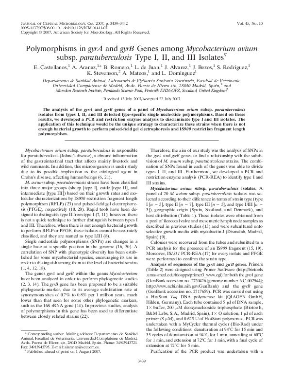 Thesis on paratuberculosis 06 image