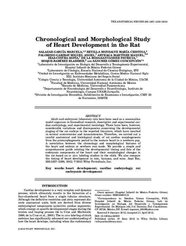 (PDF) Chronological and Morphological Study of Heart Development in the Rat