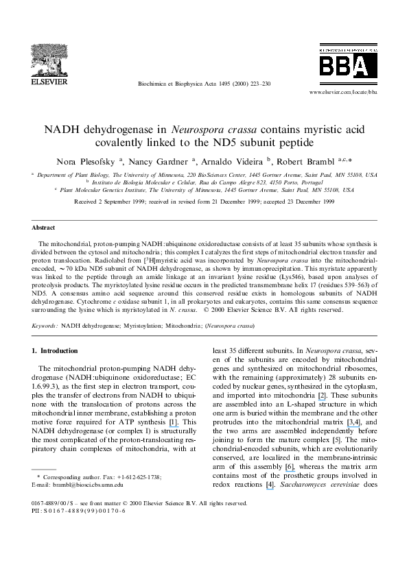 The neurospora crassa circadian clock image