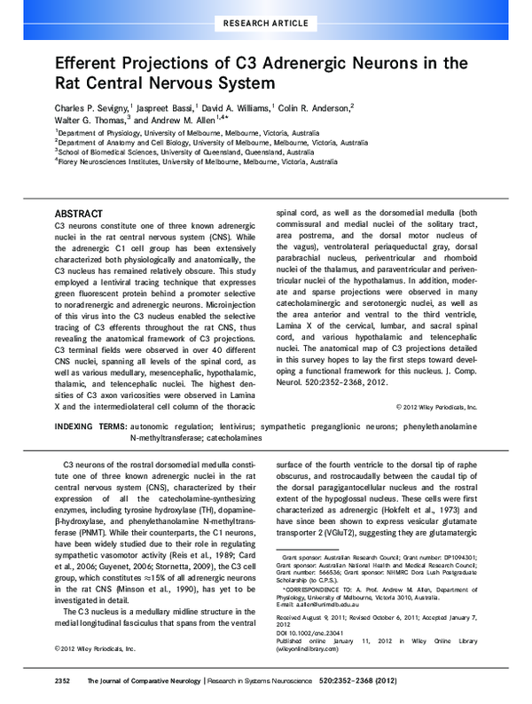 (PDF) Efferent projections of C3 adrenergic neurons in the rat central ...