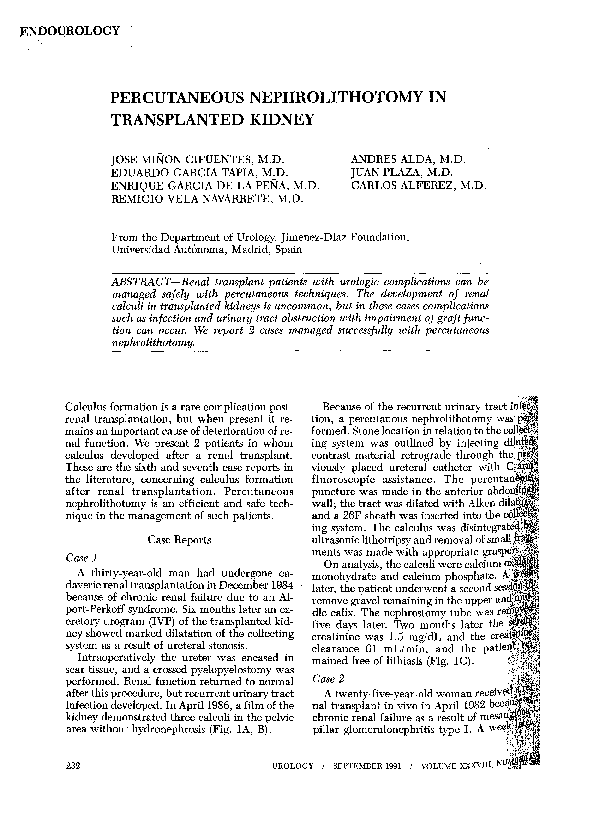 (PDF) Percutaneous nephrolithotomy intransplanted kidney