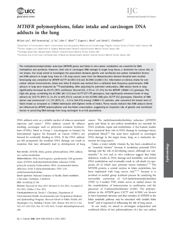 (PDF) MTHFR polymorphisms, folate intake and carcinogen DNA adducts in ...