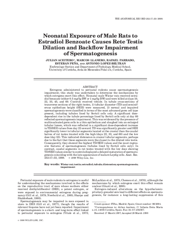 (PDF) Neonatal exposure of male rats to estradiol benzoate causes rete ...