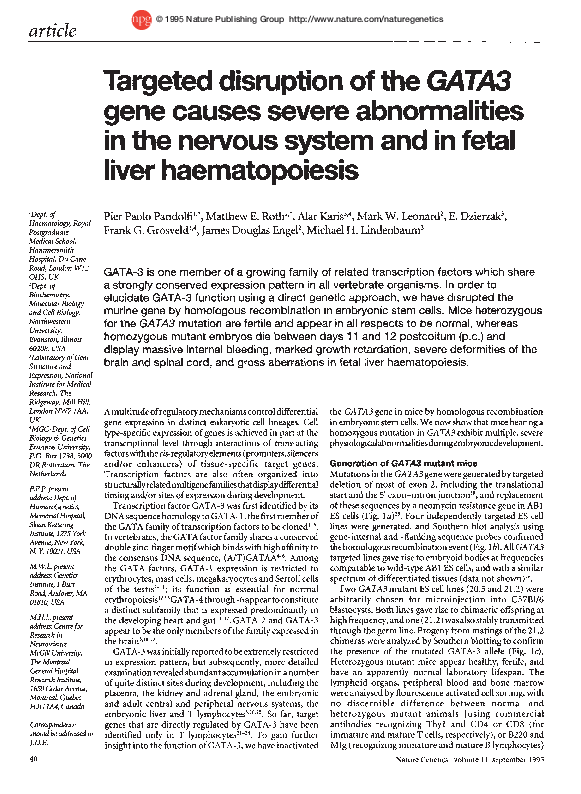 (PDF) Targeted disruption of the GATA3 gene causes severe abnormalities ...