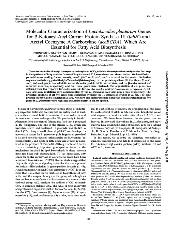 (PDF) Molecular characterization of Lactobacillus species isolated from ...